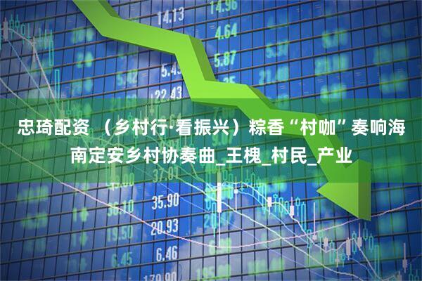 忠琦配资 （乡村行·看振兴）粽香“村咖”奏响海南定安乡村协奏曲_王槐_村民_产业