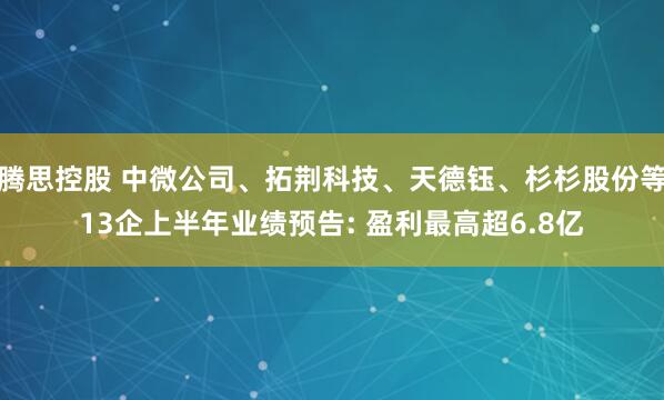 腾思控股 中微公司、拓荆科技、天德钰、杉杉股份等13企上半年业绩预告: 盈利最高超6.8亿