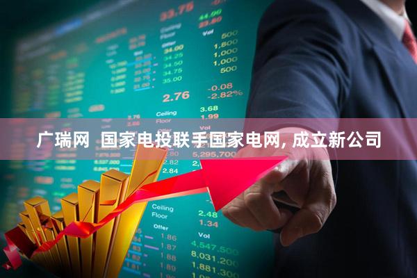 广瑞网  国家电投联手国家电网, 成立新公司